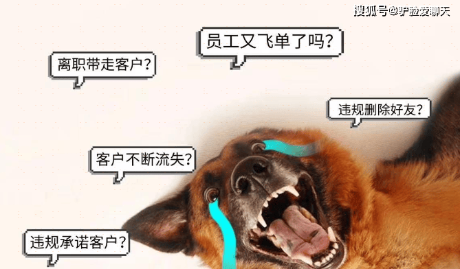 飞单被公司发现了怎么办(图1)